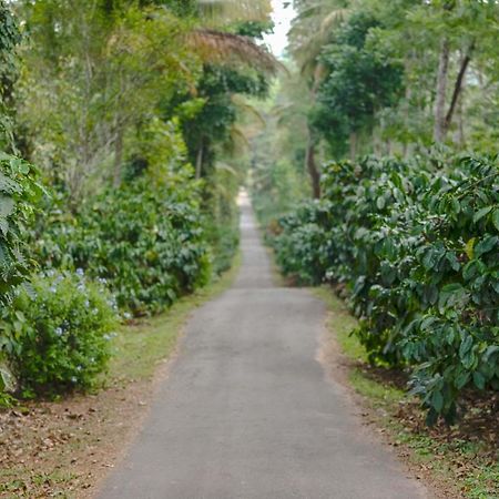 Belvilla The School Estate- Luxury Heritage Home In 200 Acres 马迪凯里 外观 照片