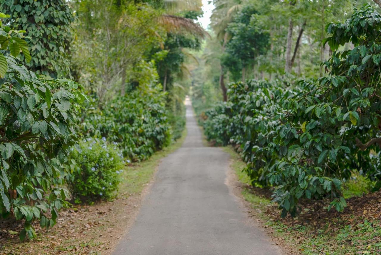 Belvilla The School Estate- Luxury Heritage Home In 200 Acres 马迪凯里 外观 照片